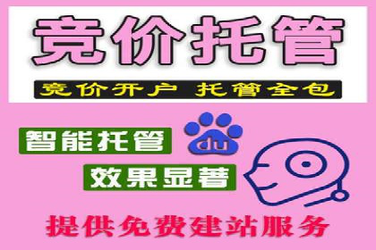 百度SEO推广公司案例精选：揭秘优化策略